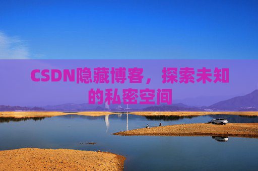 CSDN隐藏博客，探索未知的私密空间